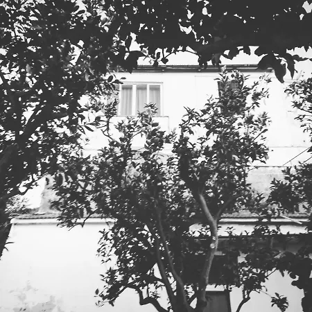 Beatrice Sorrento